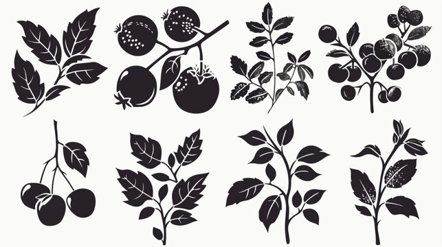 Single seed fruit silhouette vector in image by hand