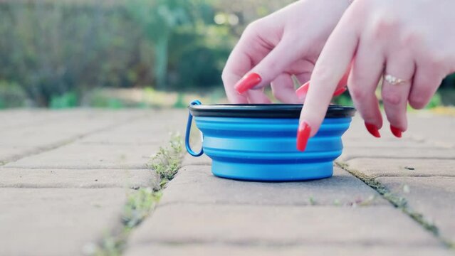 Girl lays out a collapsible silicone traveling bowl for a dog. A walk on a sunny day in a city park. Care concept, animal life
