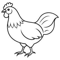 chicken vector illustration with line art.