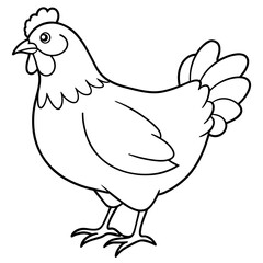 chicken vector illustration with line art.