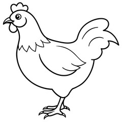 chicken vector illustration with line art.