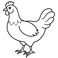chicken vector illustration with line art.
