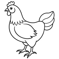 chicken vector illustration with line art.