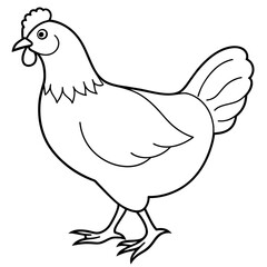 chicken vector illustration with line art.