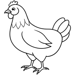 chicken vector illustration with line art.
