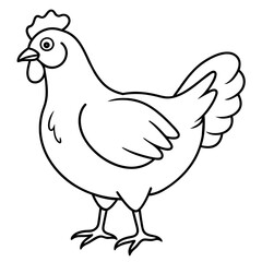 chicken vector illustration with line art.