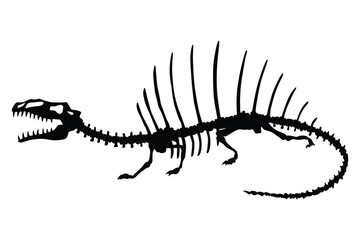 Dinosaur skeleton. Dino monsters icon. Shape of real animal. Sketch of prehistoric reptiles. Vector illustration isolated on white. Hand drawn sketch