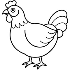    chicken vector illustration with line art.
