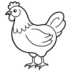    chicken vector illustration with line art.
