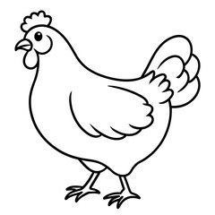    chicken vector illustration with line art.
