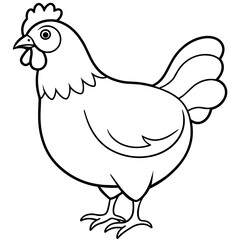    chicken vector illustration with line art.
