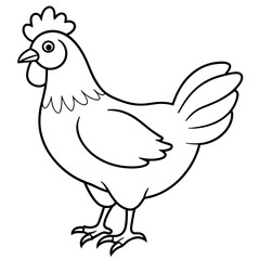    chicken vector illustration with line art.
