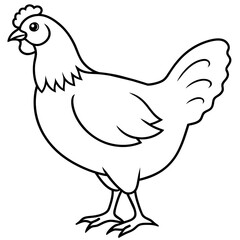    chicken vector illustration with line art.
