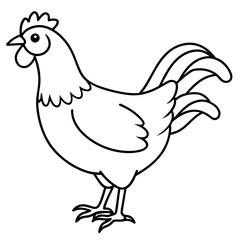    chicken vector illustration with line art.

