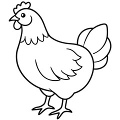    chicken vector illustration with line art.
