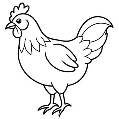    chicken vector illustration with line art.
