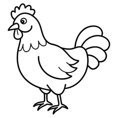    chicken vector illustration with line art.
