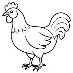    chicken vector illustration with line art.
