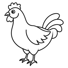    chicken vector illustration with line art.
