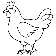    chicken vector illustration with line art.
