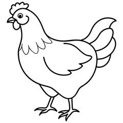    chicken vector illustration with line art.
