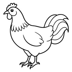    chicken vector illustration with line art.
