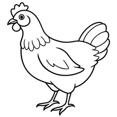    chicken vector illustration with line art.
