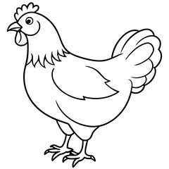    chicken vector illustration with line art.
