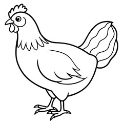    chicken vector illustration with line art.
