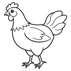   chicken vector illustration with line art.
