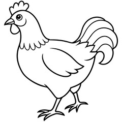    chicken vector illustration with line art.
