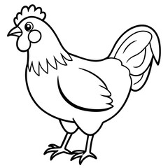    chicken vector illustration with line art.
