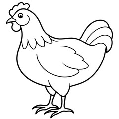    chicken vector illustration with line art.
