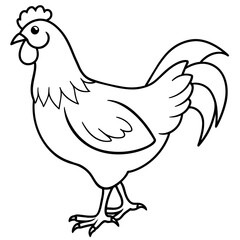    chicken vector illustration with line art.
