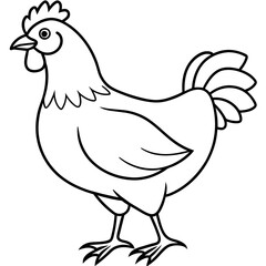    chicken vector illustration with line art.
