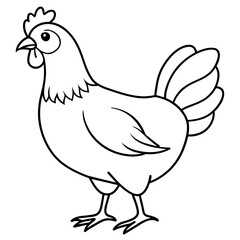 Fototapeta premium chicken vector illustration with line art. 