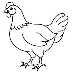 Fototapeta premium chicken vector illustration with line art. 