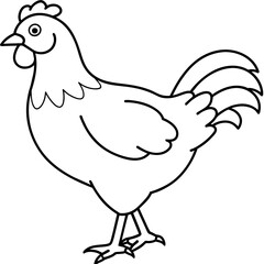 Fototapeta premium chicken vector illustration with line art. 