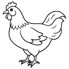    chicken vector illustration with line art.
