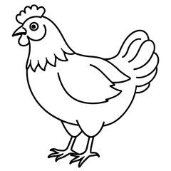    chicken vector illustration with line art.
