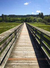 Theler Wetlands Nature preserve in Belfair, Washington State