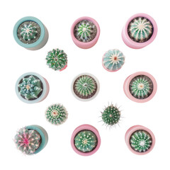 A close up of a group of different types of cactus plants