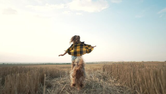 Happy girl with dog. Child runs with pet through a wheat field. Girl has fun playing with dog in the park at sunset. Summer vacation in the wheat field. Child play with pet in nature in wheat field.