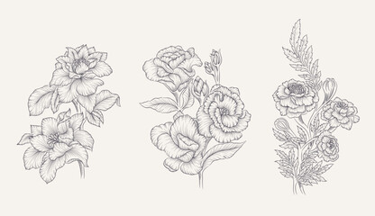 hand drawn floral , ink sketch, set flower line art,decor,vector illustration 