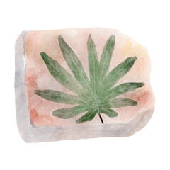 Fossil of plant in rock . Watercolor paint design . Vector .