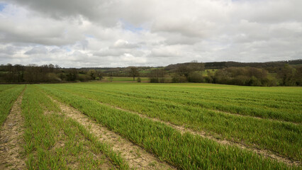 Fototapeta na wymiar tramline in arable field in english countryside on cloudy day with hills on horizon