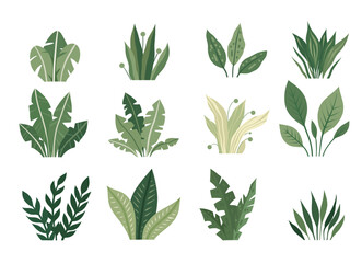 Vector set of tropical plants isolated from background. Nature clipart for stickers, cards. Collection of greenery bushes - 781109065
