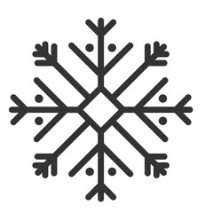 snowflake winter nine icon silhouette