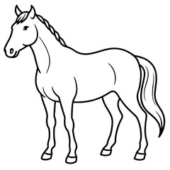 horse isolated on white background