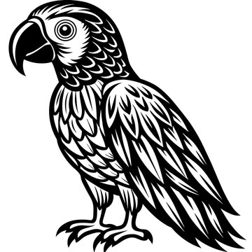 black and cartoon parrot